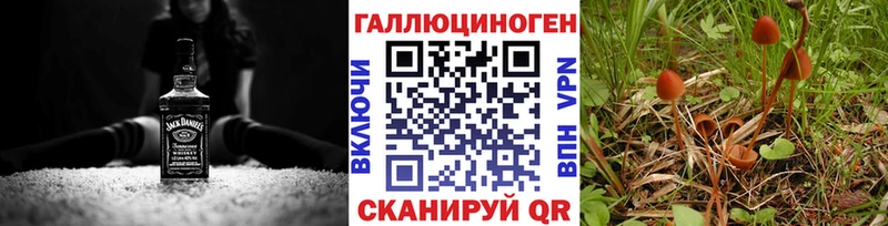 Купить где  Костомукша  Галлюциногенные грибы ЛСД 